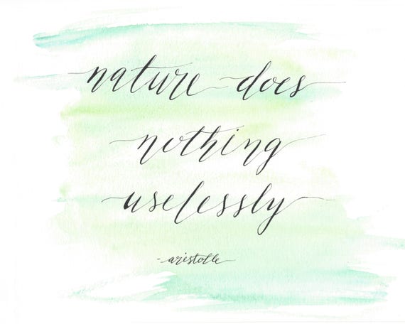 ORIGINAL Calligraphy Quote Modern Calligraphy Aristotle Watercolor  Calligraphy Art Quote Sign Black Ink Nature Quote