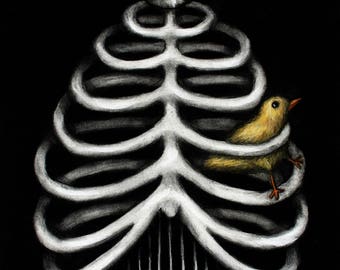 Birdcage Print