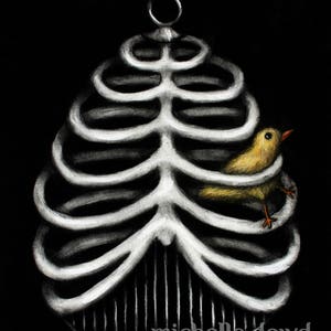 Birdcage Print
