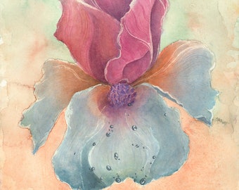 Impressões de qualidade de arquivo de flores de íris