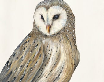 Barn Owl Archival Quality Prints