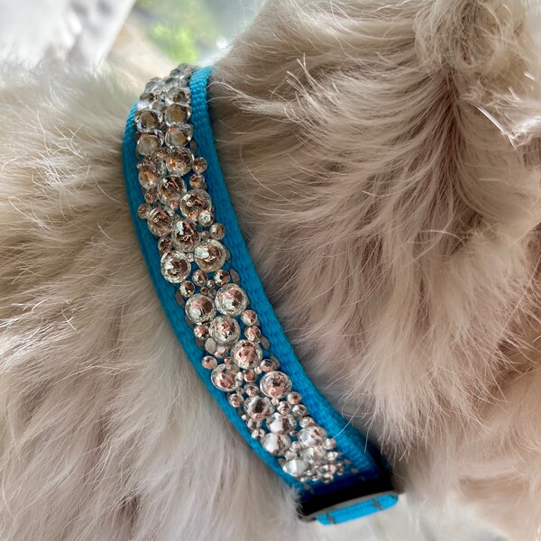 Collier pour chien strass