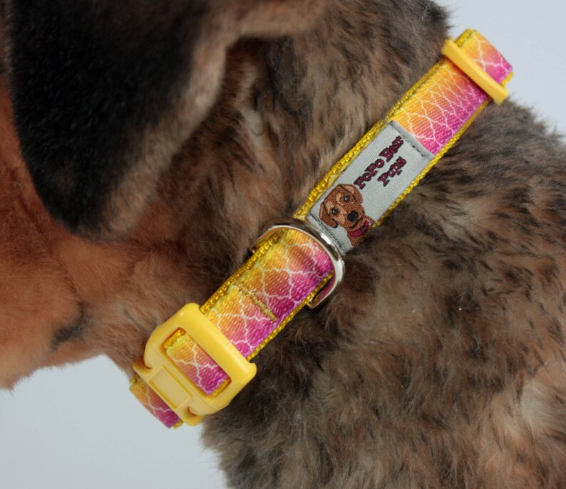 Medium Fade to Pink Dog Collar