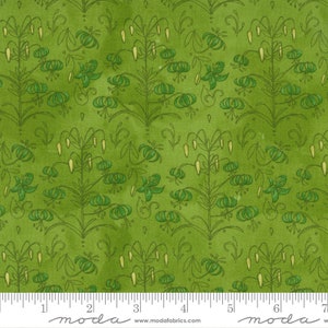 Carolina Lilies - Robin Pickens - Little Drawings - Sprig - 48703-18 - Fabric is sold in 1/2 yard increments and cut continuously