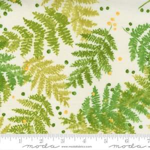 Carolina Lilies - Robin Pickens - Ferns - Cream - 48702-11 - Fabric is sold in 1/2 yard increments and cut continuously
