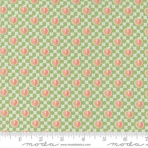 Peachy Keen - Corey Yoder - Peaches - Fern - 29171-13 - Fabric is sold in 1/2 yard increments and cut continuously