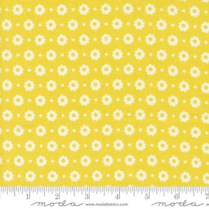 Laguna Sunrise - Sherri & Chelsi - Blütenblatt - Citrine - 37683-20 - Der Stoff wird in 1/2 Yard Schritten verkauft und fortlaufend geschnitten