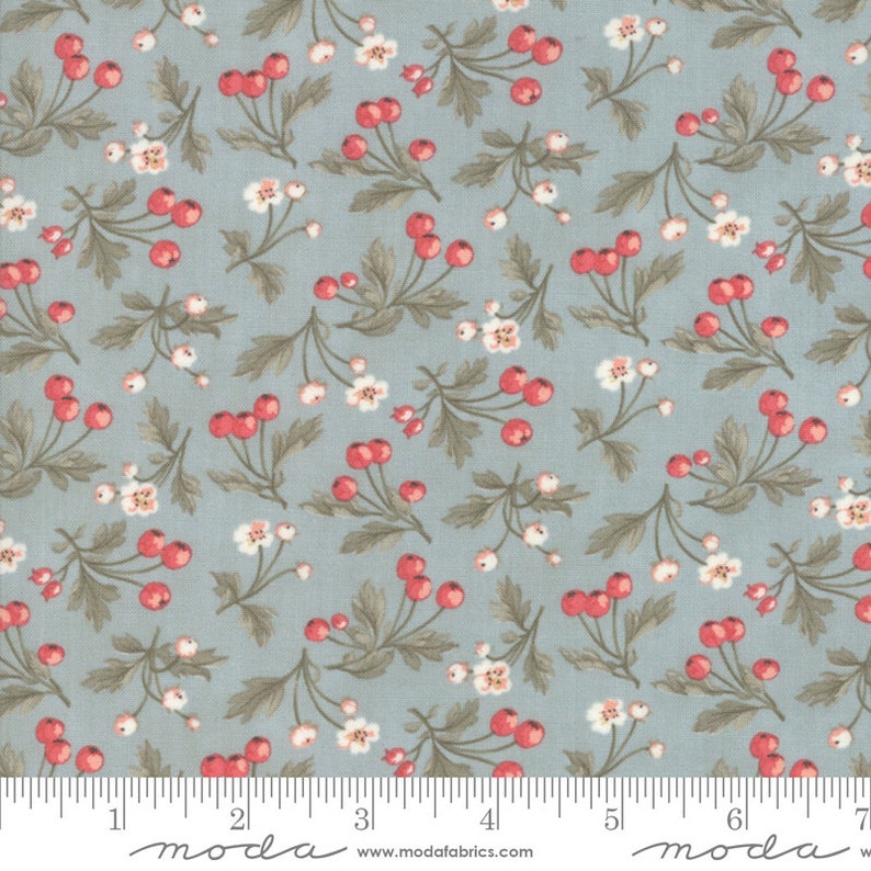 Dewdrop 3 Sisters Fruitful Daybreak Fabric is sold in 12 yard increments 44244-15
