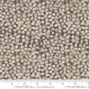 Bee Garden - Gingiber - Floral - Silver - 48417-19 - Fabric is sold in 1/2 yard increments and cut continuously
