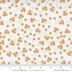 Cozy Up - Corey Yoder - Acorns - Cloud - 29123-11 - Fabric is sold in 1/2 yard increments and cut continuously