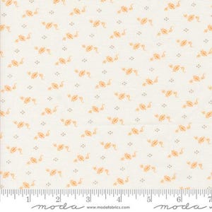 Agatha Road - Fig Tree - Tiny Pumpkins - Ghost Multi - 35416-11 - Fabric is sold in 1/2 yard increments and cut continuously