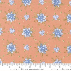 Peachy Keen - Corey Yoder - Blooming Floral - Peach Blossom - 29172-18 - Fabric is sold in 1/2 yard increments and cut continuously
