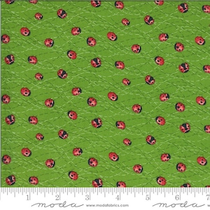 Solana - Robin Pickens - Ladybug - Sprout - 48684-15 - This piece is 22&quot;