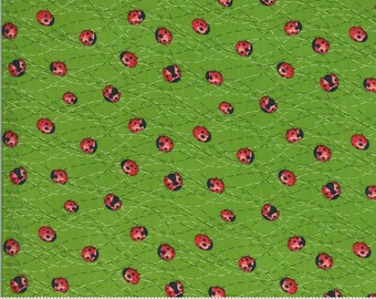 Solana - Robin Pickens - Ladybug - Sprout - 48684-15 - This piece is 22&quot;