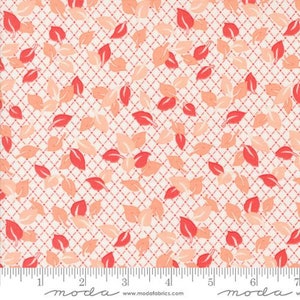 Jelly & Jam - Fig Tree - Jelly Toppers - Strawberry - 20493-21 - Fabric is sold in 1/2 yard increments and cut continuously