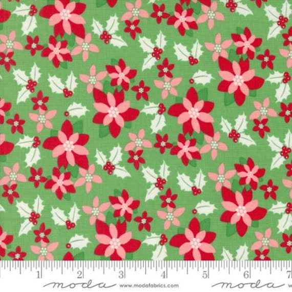 Kitty Christmas: Poinsettia Florals in Holly Kitty Christmas: Poinsettia Florals in Holly