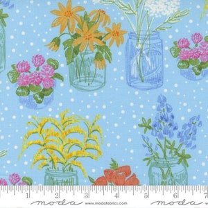 Wild Blossoms - Robin Pickens - Canning Jar - Mist - 48734-23 - Fabric is sold in 1/2 yard increments and cut continuously
