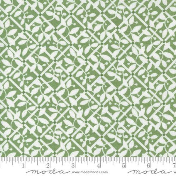 Shoreline - Camille Roskelley - Lattice - Green - 55303-15 - Fabric is sold in 1/2 yard increments and cut continuously