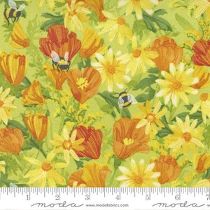 Wild Blossoms - Robin Pickens - Daisies and Poppies - Sunlit - 48731-13 - Fabric is sold in 1/2 yard increments and cut continuously