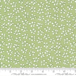 Lighthearted - Camille Roskelley - Ribbon - Green - 55293-19 - Fabric is sold in 1/2 yard increments and cut continuously
