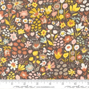 Dawn On The Prairie: Meadow Walk in Mud Pie Dawn On The Prairie: Meadow Walk in Mud Pie
