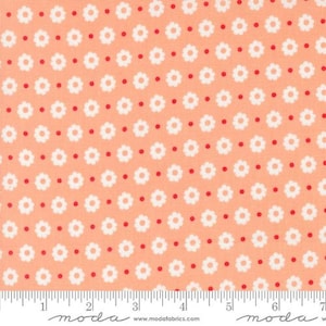 Laguna Sunrise - Sherri & Chelsi - Petal - Cantaloupe - 37683-13 - Der Stoff wird in 1/2 Yard Schritten verkauft und fortlaufend geschnitten