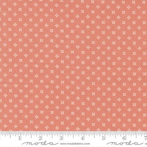 Peachy Keen - Corey Yoder - Seeds - Coral - 29173-19 - Fabric is sold in 1/2 yard increments and cut continuously