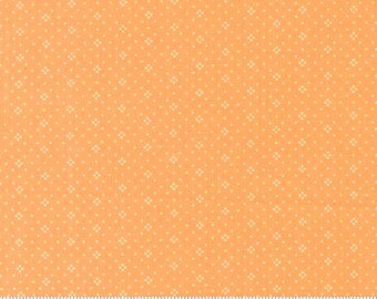 Eyelet - Fig Tree - Eyelet Dot - Orange - 20488-74 - Fabric is sold in 1/2 yard increments and cut continuously