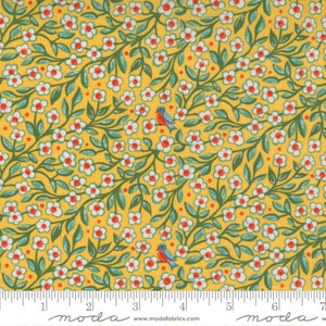 Frankie - Basic Grey - Sincere - Goldie - 30672-17 - Fabric is sold in 1/2 yard increments and cut continuously