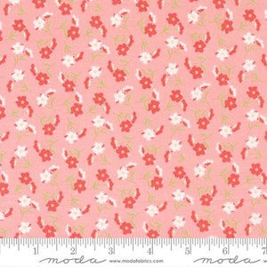 Sunwashed - Corey Yoder - Wildflower - Carnation - 29162-22 - Fabric is sold in 1/2 yard increments and cut continuously