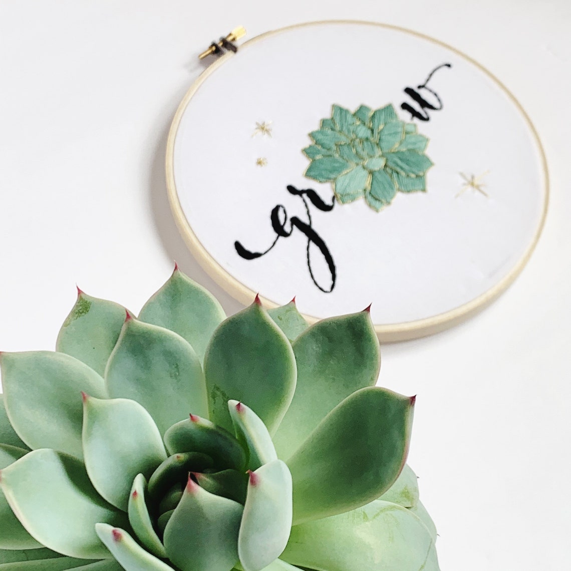 Grow Succulent Embroidery Kit Etsy