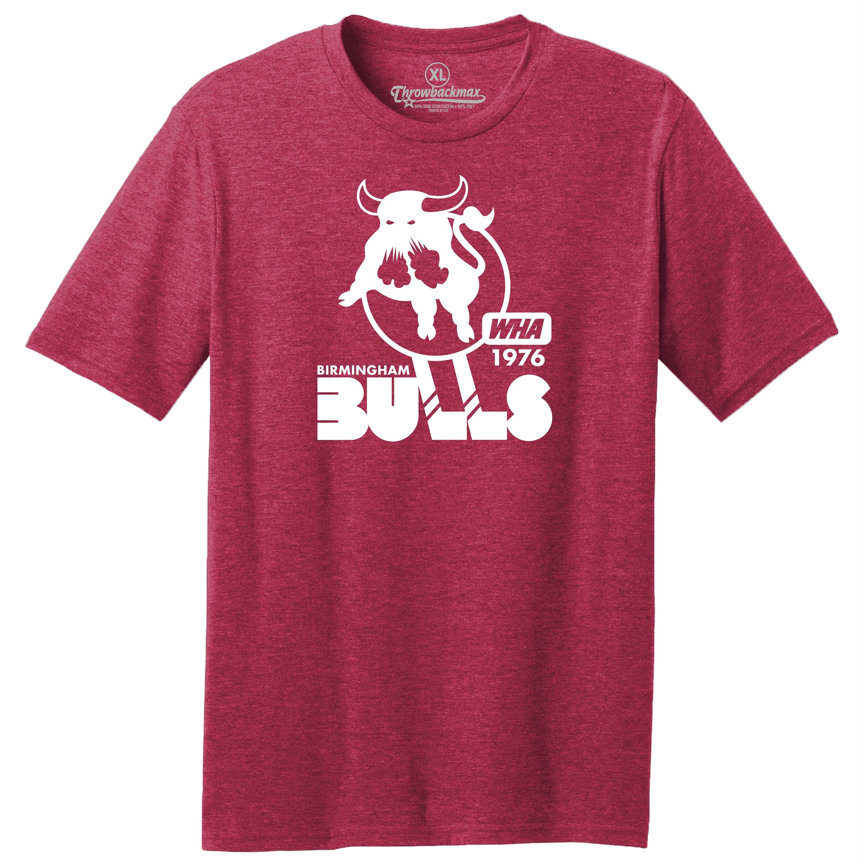 Birmingham Bulls Hockey, Vintage Sports Apparel