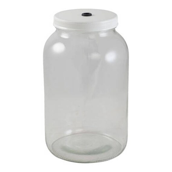 1 Gallon Clear Glass Or Plastic Fermenter Jar Kit With Etsy