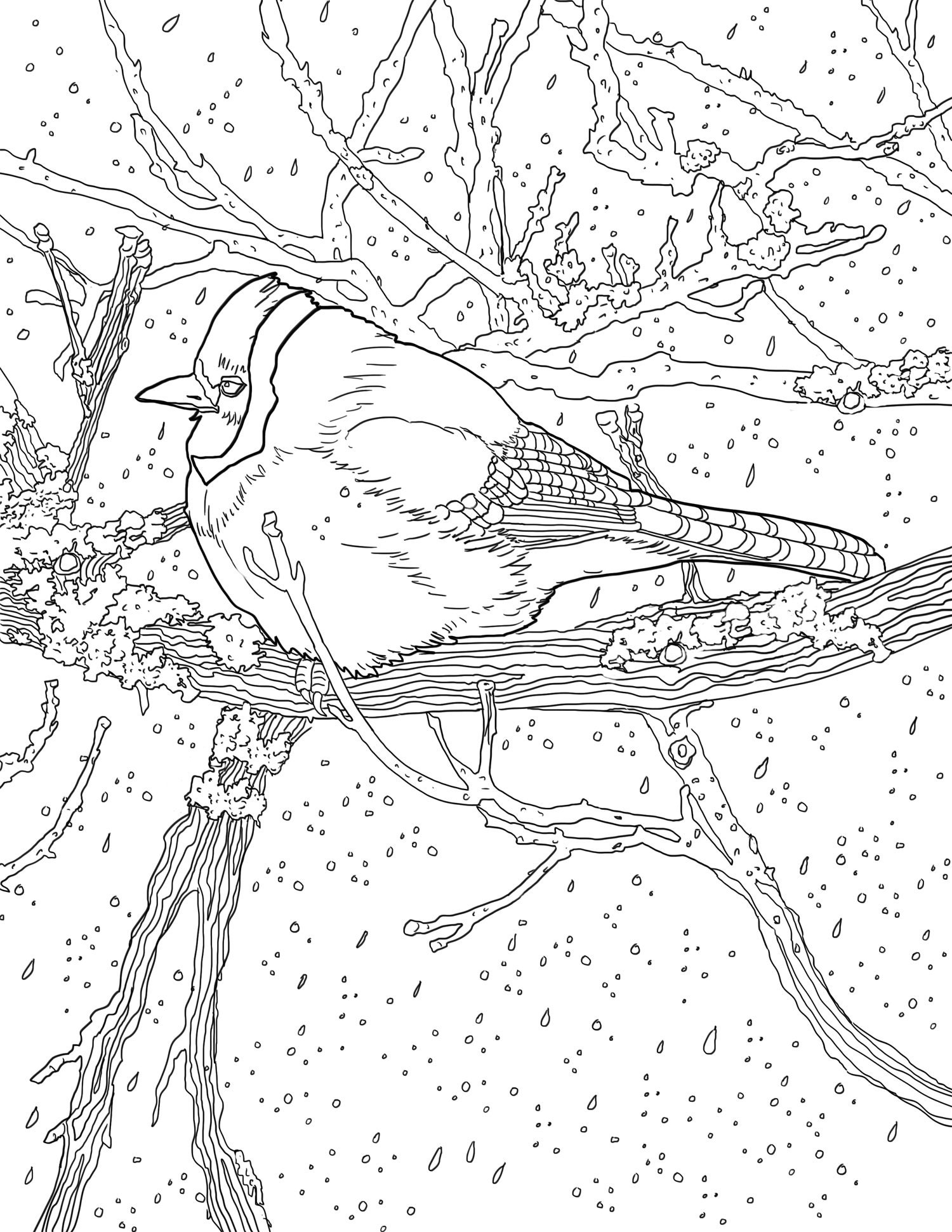 Animal Patterns Coloring Pages, 5 pages for adult colorning