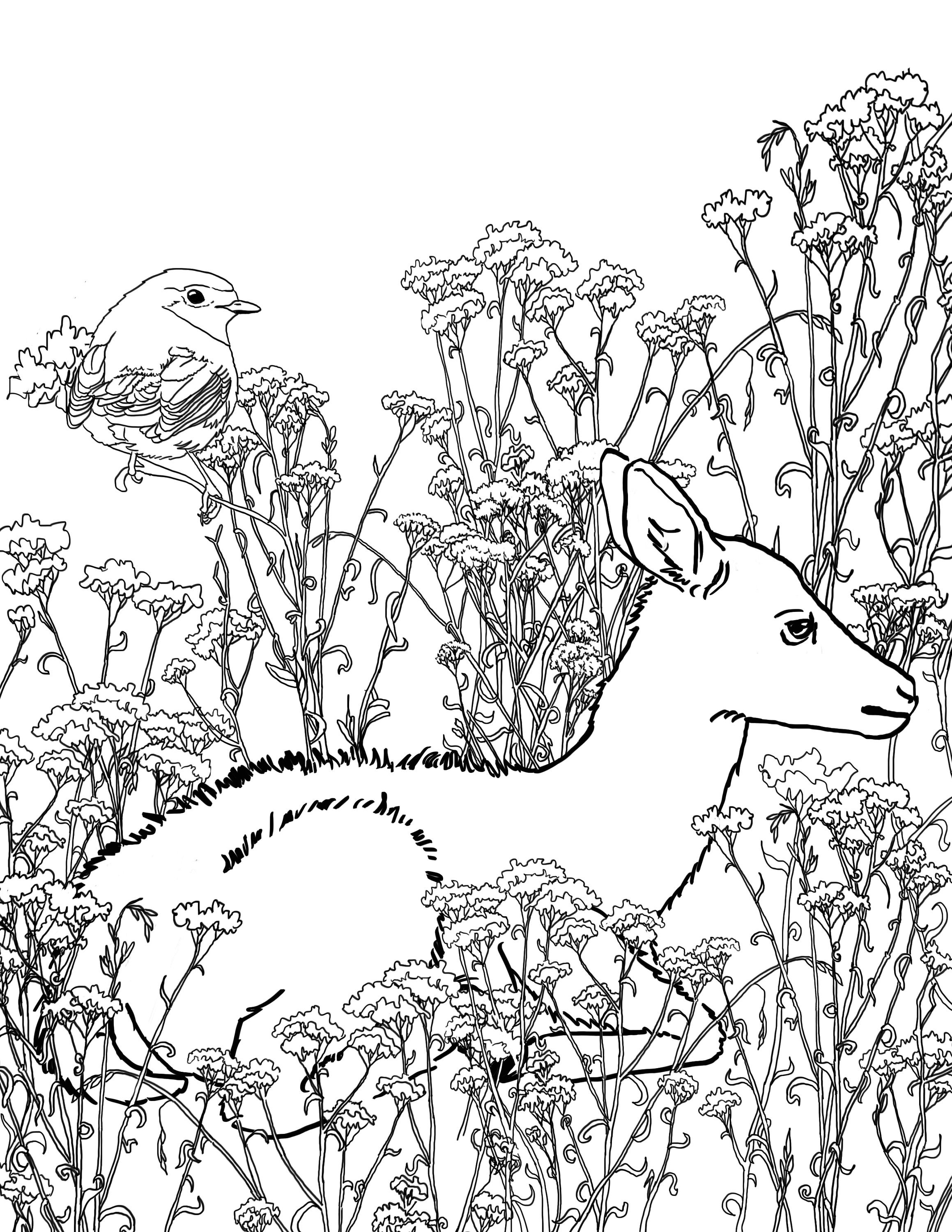 Animal Patterns 2 Coloring Pages, 5 coloring pages for adults
