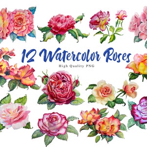 Aquarell Rosen Clipart - 12 PNG bunte Rosen - Rose Clipart - sofortiger Download