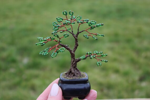 Bonsai Tree Ornaments: Elevate Your Miniature Masterpiece