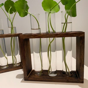 Plant Propagation | Plant Lovers Gift | Gifts For Her | Indoor Plant Cutting Stand | garden lovers