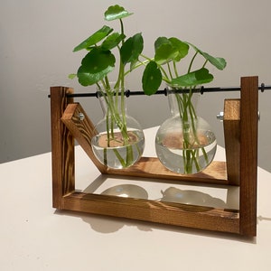 Plant Propagation | Plant Lovers Gift | Gifts For Her | Indoor Plant Cutting Stand | garden lovers