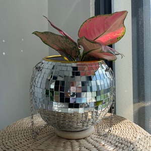 Indoor Outdoor Propagation Station | Gift For Gardener -|Unique Gift For Plant Lover |Gardening Gift For Mother&#39;s Day|Disco Mushroom Vase