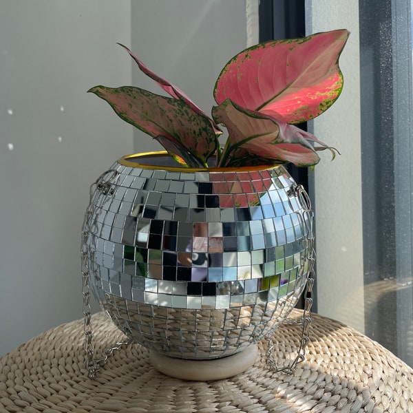 Indoor Outdoor Propagation Station | Gift For Gardener -|Unique Gift For Plant Lover |Gardening Gift For Mother's Day|Disco Mushroom Vase