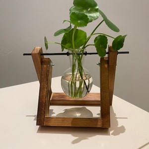 Plant Propagation | Plant Lovers Gift | Gifts For Her | Indoor Plant Cutting Stand | garden lovers