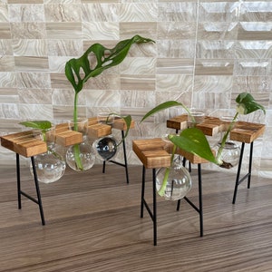Plant Propagation | Plant Lovers Gift | Gifts For Her | Indoor Plant Cutting Stand | garden lovers