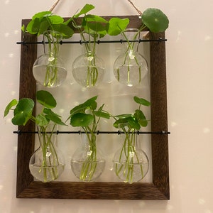 Plant Propagation | Plant Lovers Gift | Gifts For Her | Indoor Plant Cuttings Stand | Garden Lovers