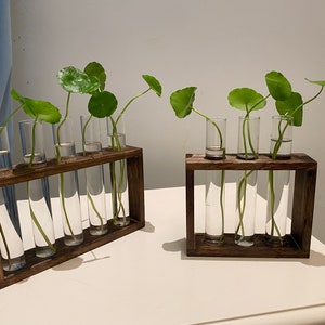 Plant Propagation | Plant Lovers Gift | Gifts For Her | Indoor Plant Cutting Stand | garden lovers