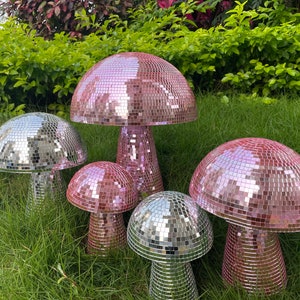 Fast Shipping|Most Popular Pink Disco Mushrooms|Disco Mushrooms