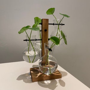 Plant Propagation | Plant Lovers Gift | Gifts For Her | Indoor Plant Cutting Stand | garden lovers