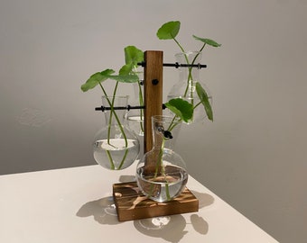 Plant Propagation | Plant Lovers Gift | Gifts For Her | Indoor Plant Cutting Stand | garden lovers