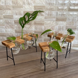 Plant Propagation | Plant Lovers Gift | Gifts For Her | Indoor Plant Cutting Stand | garden lovers