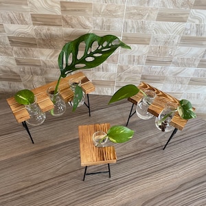 Plant Propagation | Plant Lovers Gift | Gifts For Her | Indoor Plant Cutting Stand | garden lovers